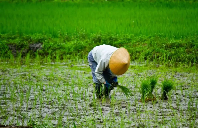 民宿，从“旅游 +”如何到“+ 旅游”？