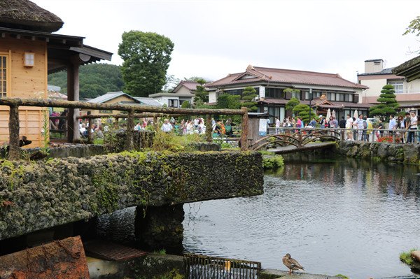 海南省有哪些乡村民宿扶持政策？