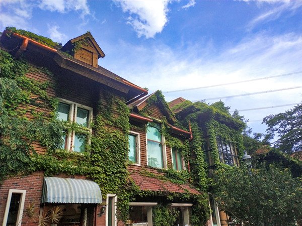 海南省有哪些乡村民宿扶持政策？