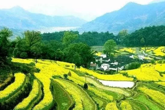 乡村旅游发展促民宿标准落地