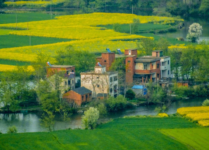 民宿经济兴起，乡村旅游将成为下一个风口？