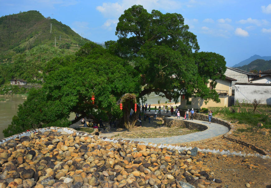 如何打造个性化、多元化的文化民宿村落? 如何打造个性化、多元化的文化民宿村落?