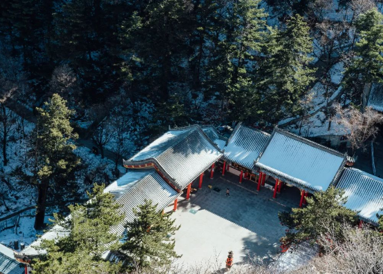 如何利用民宿经济带动乡村振兴? 如何利用民宿经济带动乡村振兴?