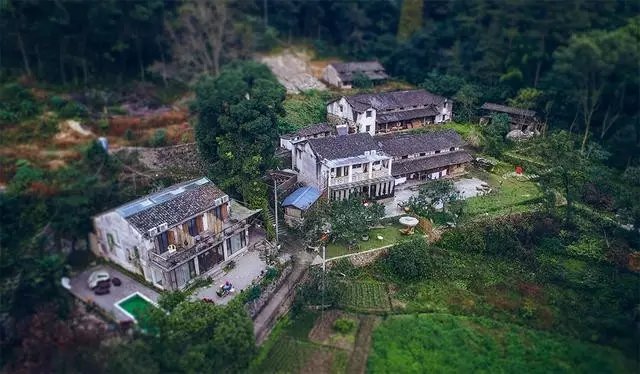 他包下一个小岛，打造自己心中的隐世秘境！