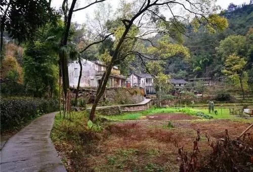 他包下一个小岛，打造自己心中的隐世秘境！