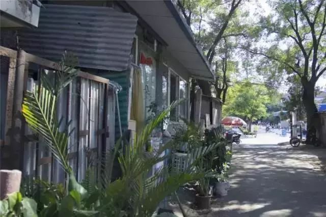 清华园有哪些名人故居？看完这篇就够了！