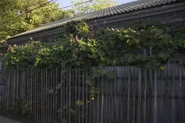 清华园有哪些名人故居？看完这篇就够了！