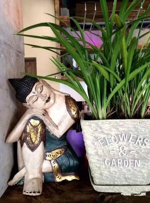 致文艺的你丨浙江最文艺清新民宿 致文艺的你丨浙江最文艺清新民宿