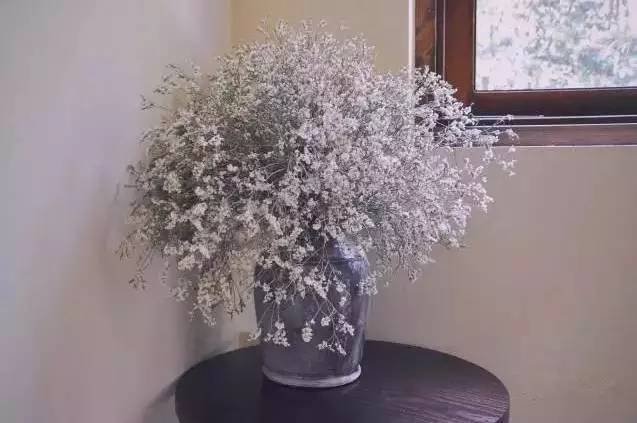 致文艺的你丨浙江最文艺清新民宿 致文艺的你丨浙江最文艺清新民宿