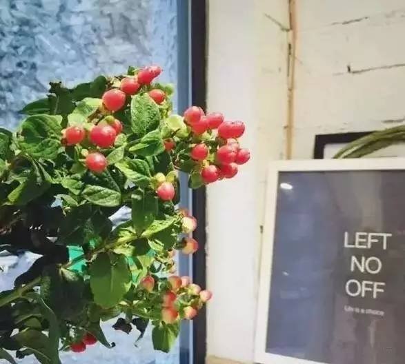 致文艺的你丨浙江最文艺清新民宿 致文艺的你丨浙江最文艺清新民宿