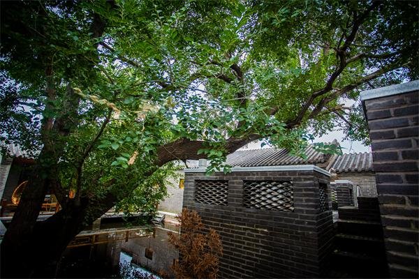 浅谈乡村民宿的文化冲突 浅谈乡村民宿的文化冲突