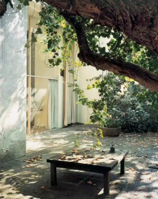 这才是我想要的民宿院子:方寸之间 岁月静好 这才是我想要的民宿院子:方寸之间 岁月静好