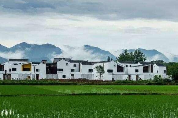 浙江:唤醒乡村审美的民居建筑而走红 浙江:唤醒乡村审美的民居建筑而走红