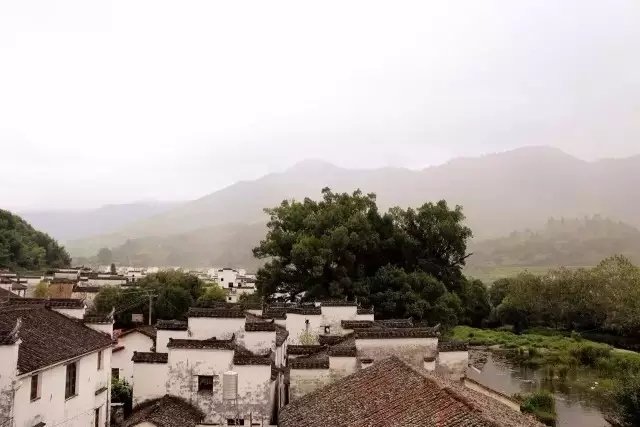 老宅改造丨唤醒那些沉睡的百年老宅 老宅改造丨唤醒那些沉睡的百年老宅