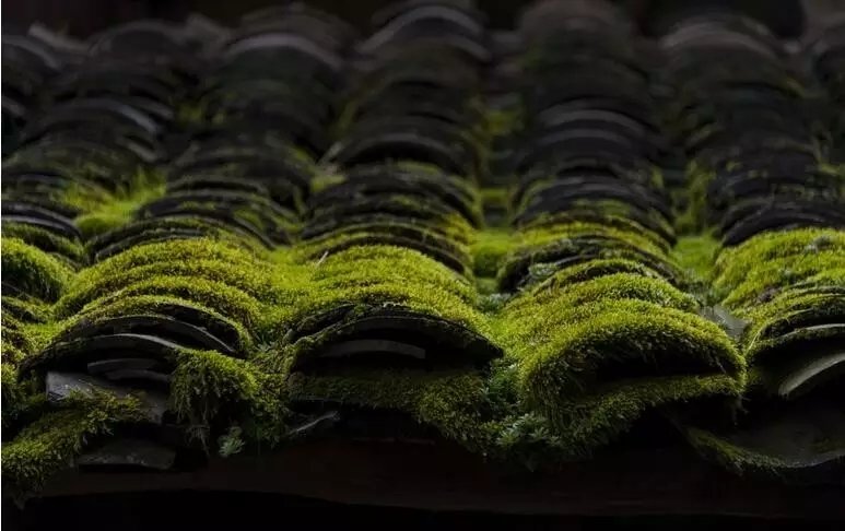 老宅改造丨唤醒那些沉睡的百年老宅 老宅改造丨唤醒那些沉睡的百年老宅