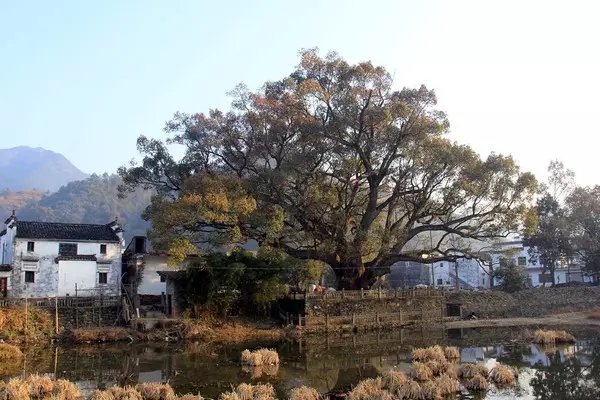 老宅改造丨唤醒那些沉睡的百年老宅 老宅改造丨唤醒那些沉睡的百年老宅