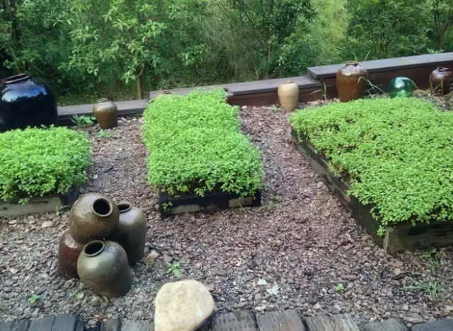 中国人的乡村庭院,惊艳了时光...... 中国人的乡村庭院,惊艳了时光......