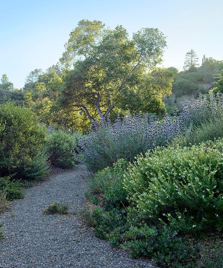 2022 ASLA 住宅设计类荣誉奖：海岸岭住宅，美国加州 / Scott Lewis Landscape Architecture