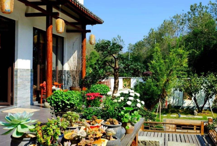 民宿民居，如何去抓住成功的元素？