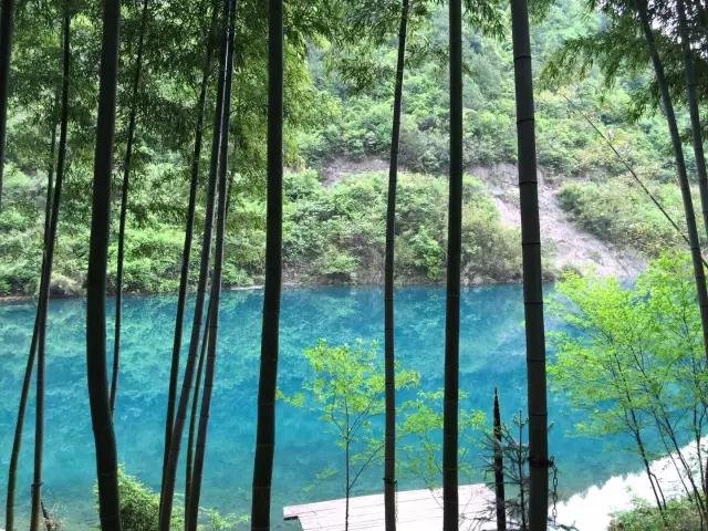 这可能是今年你最值得尝试的竹林民宿! 这可能是今年你最值得尝试的竹林民宿!