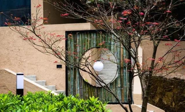 这可能是今年你最值得尝试的竹林民宿! 这可能是今年你最值得尝试的竹林民宿!