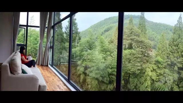 这可能是今年你最值得尝试的竹林民宿! 这可能是今年你最值得尝试的竹林民宿!