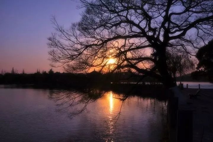 他爆改民国大亨故居,竟成了人们避世的好去处 他爆改民国大亨故居,竟成了人们避世的好去处