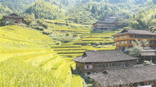 金秀瑶族自治县：旧宅一经改造 吸引游人无数