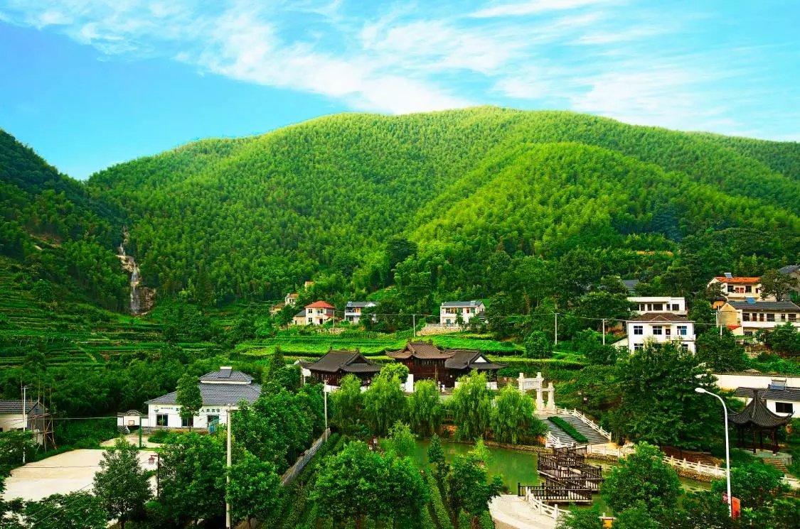 这些江南小村，是你向往的世外桃源吗？
