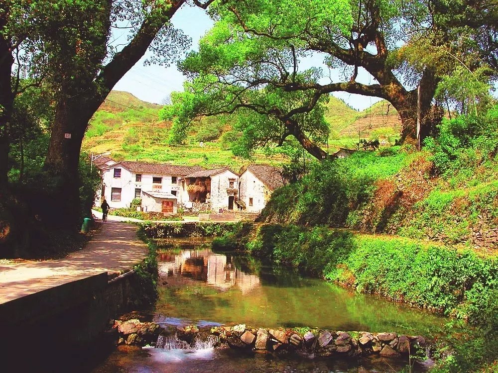 这些江南小村，是你向往的世外桃源吗？