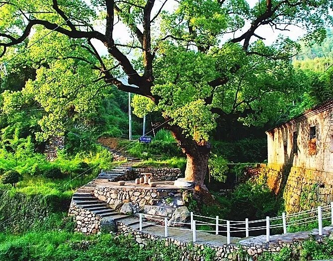 这些江南小村，是你向往的世外桃源吗？