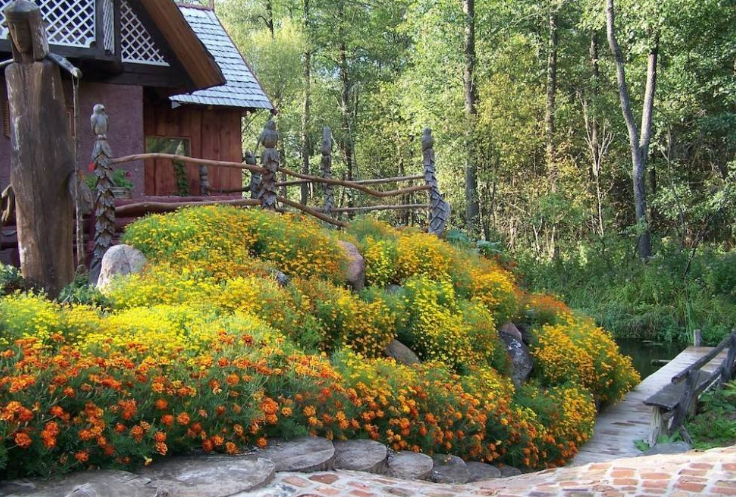 乡村民宿的发展,要始终不忘“民”的初心! 乡村民宿的发展,要始终不忘“民”的初心!