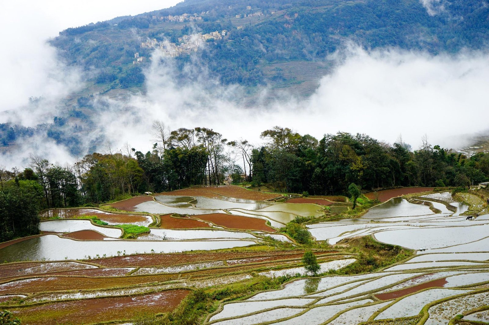 探索哈尼族人的特色民居：可爱的“蘑菇屋”！
