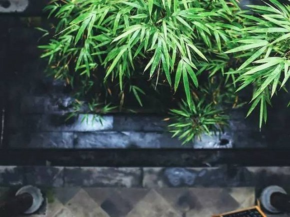 古建筑与民宿新玩法 古建筑与民宿新玩法