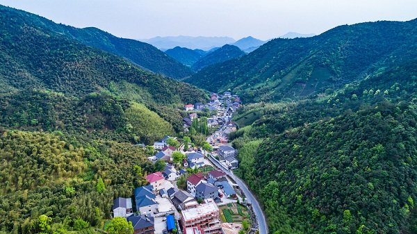 杨建武：一部旅游史，绕不开莫干山