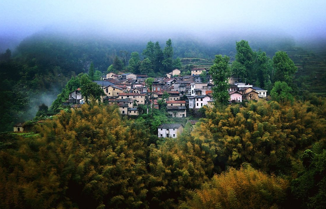 浙江民宿的发展为乡村振兴带来了什么？