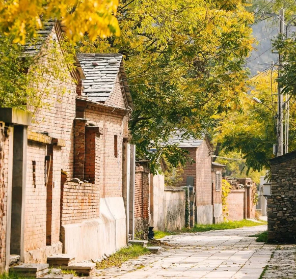 这个金秋里的绝美民宿,获得了国际大奖! 这个金秋里的绝美民宿,获得了国际大奖!