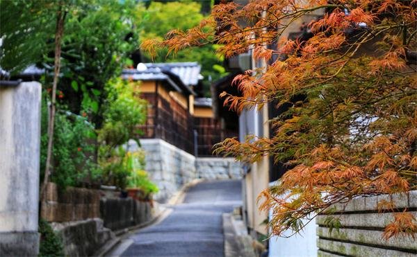 推动特色民宿文化迈进“共享圈”