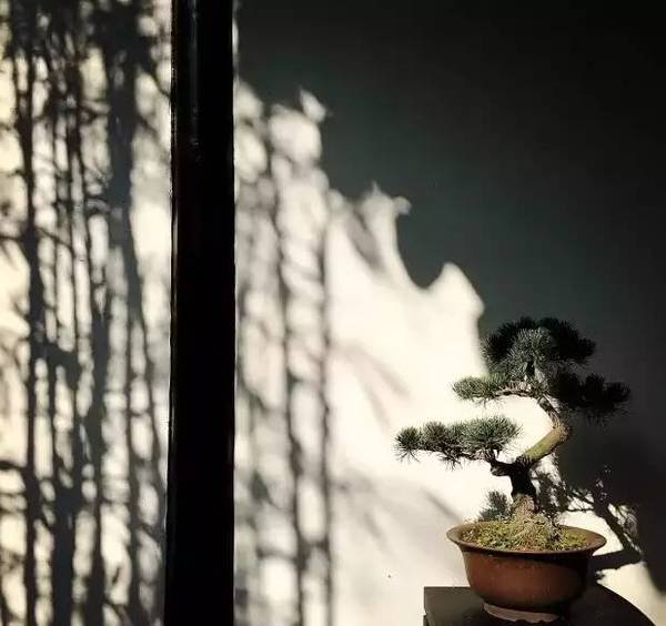 一座古宅改造成了最有禅意的民宿