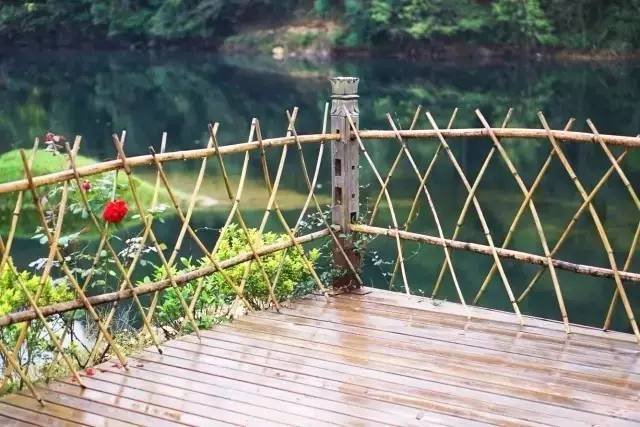 小包总的民宿经营模式，安迪都投降了！