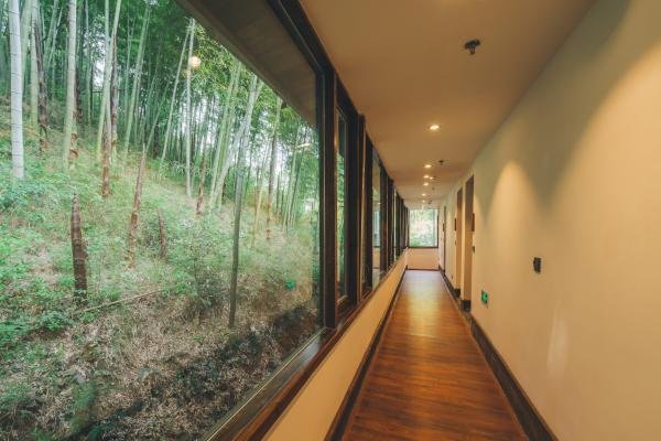 国务院：鼓励各地区适当放宽旅游民宿市场准入