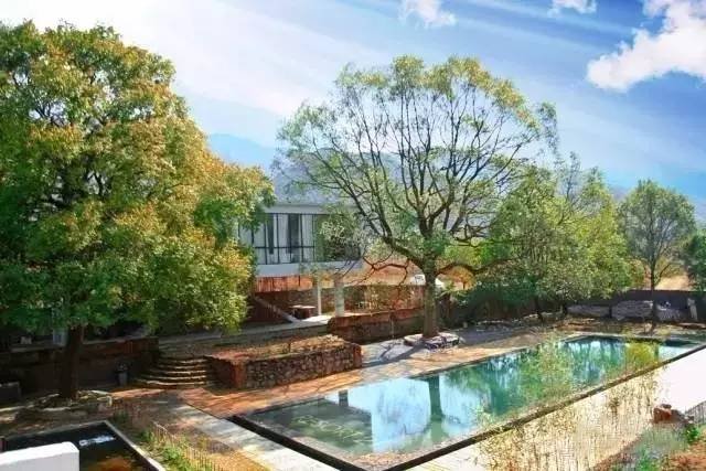 小包总的民宿经营模式，安迪都投降了！