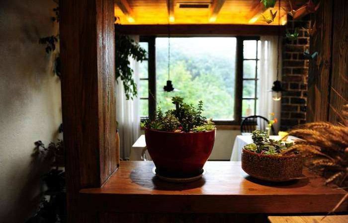 乡村游借民宿变“鲜活”，济南将打造 10 个集聚区