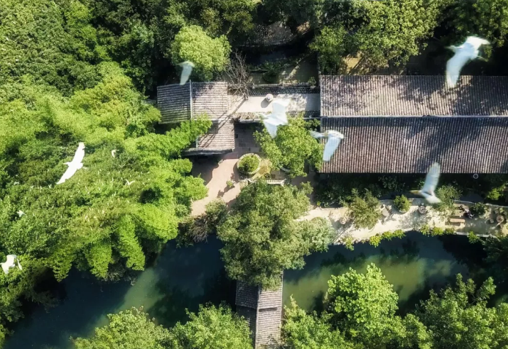 为挽救生态，他造了 400㎡的绝美古宅！