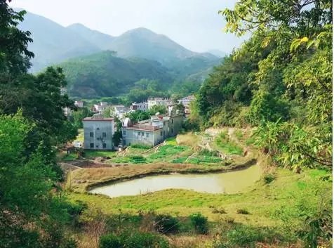 老宅改造丨 6 个月爆改古村老宅，一家 3 口把童话搬进自家小院