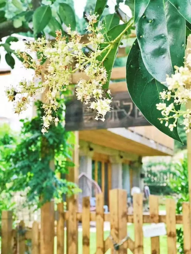 老宅改造丨 6 个月爆改古村老宅，一家 3 口把童话搬进自家小院