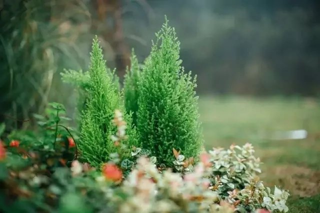 老宅改造丨 6 个月爆改古村老宅，一家 3 口把童话搬进自家小院