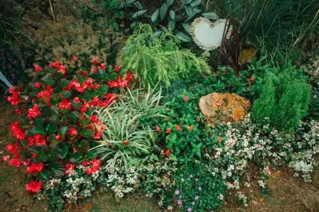 老宅改造丨 6 个月爆改古村老宅，一家 3 口把童话搬进自家小院