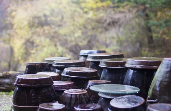 乡村民宿景观设计有哪些要点？