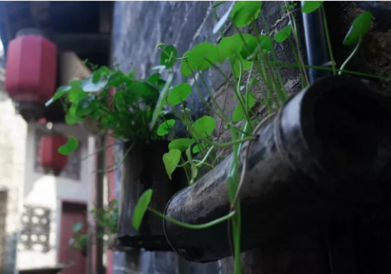 乡村民宿景观设计有哪些要点？